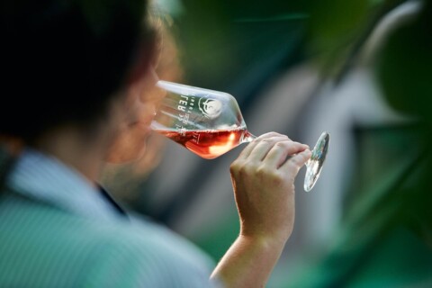 Roséwein im Glas, Person trinkt, im Hintergrund grüne Pflanzen, Wilhelm II Museum Stuttgart.