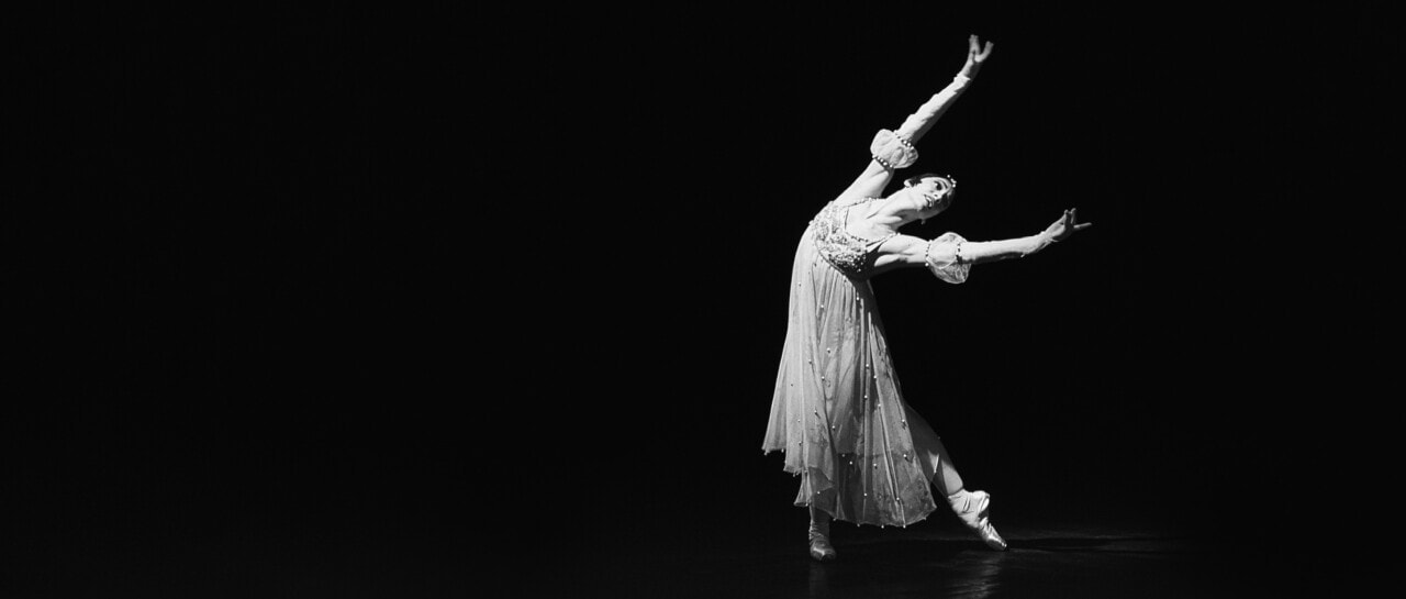 StadtPalais – Museum für Stuttgart, Home