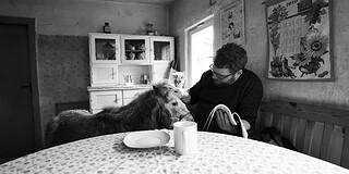 Mensch und Hund sitzen im gemütlichen Raum bei Tageslicht.